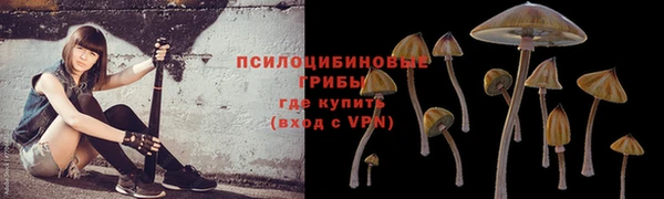 эйфоретик Бутурлиновка