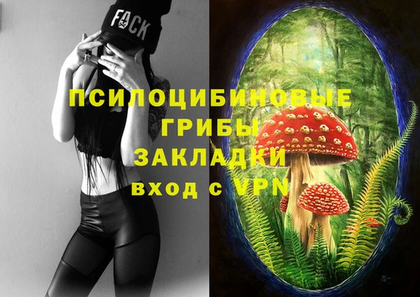 гидропоника Осинники