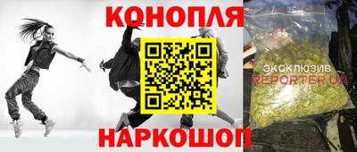 шишки Волжск