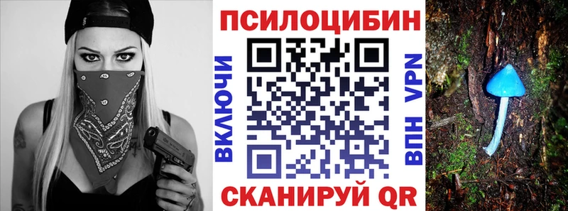 магазин    Вязьма  Галлюциногенные грибы GOLDEN TEACHER 