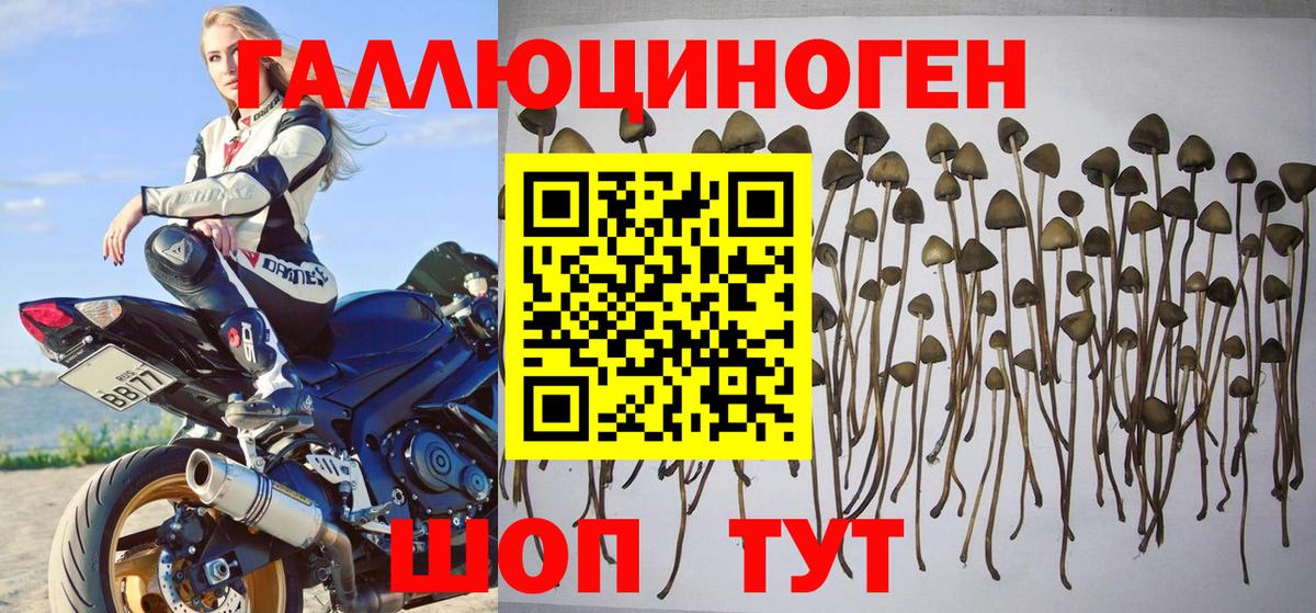 Вязьма  Галлюциногенные грибы мухоморы  Вход с VPN 