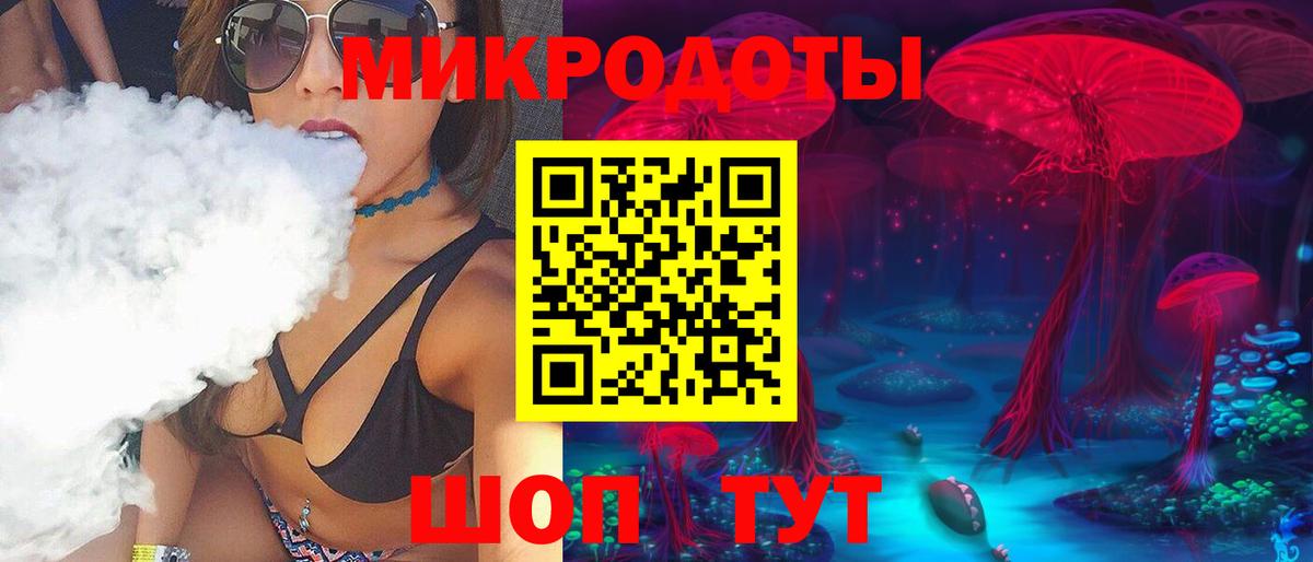 Псилоцибиновые грибы Psilocybine cubensis Вязьма